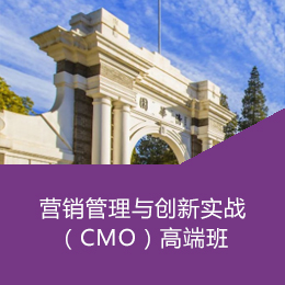 营销管理与创新实战（CMO）高端班