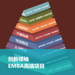 创新领袖EMBA高端项目