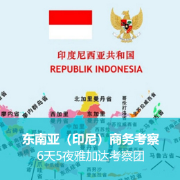 东南亚商务考察：携手共进，开拓印尼新机遇