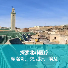 探索北非医疗：摩洛哥、突尼斯与埃及医疗考察交流之旅