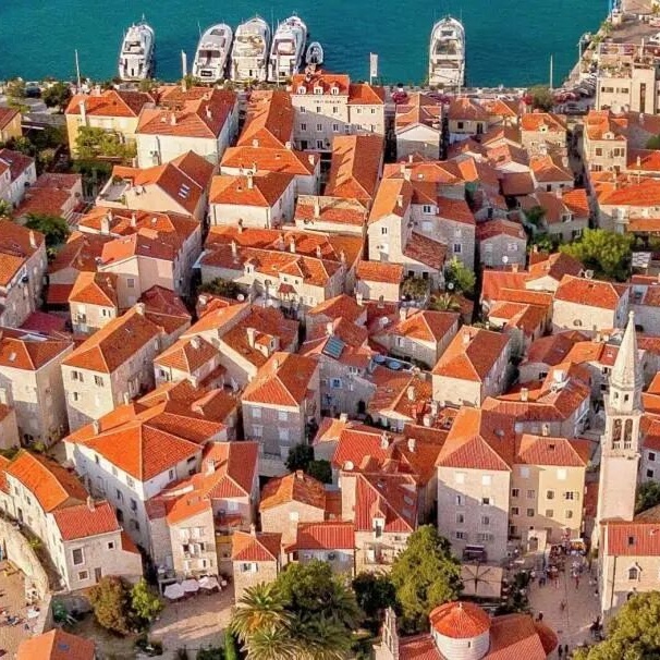 每天认识一所学校：诺维萨德大学——塞尔维亚留学的理想选择