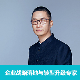 企业战略落地与转型专家：郝教授