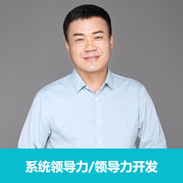 系统领导力/领导力开发：张老师