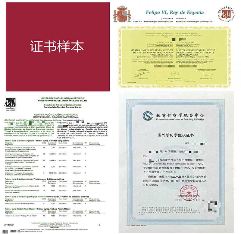 西班牙留学,人力资源管理硕士，中留服认证书,成绩单
